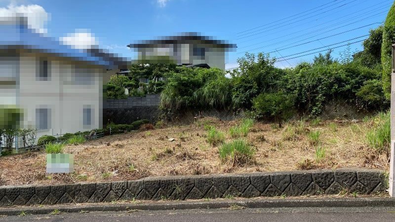 前面道路より敷地全景