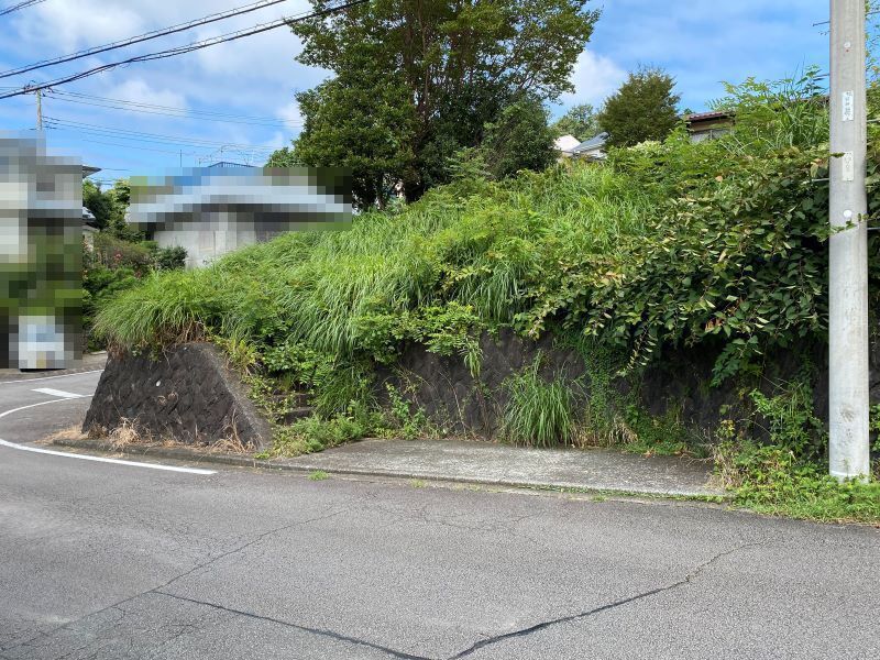 前面道路より敷地全景