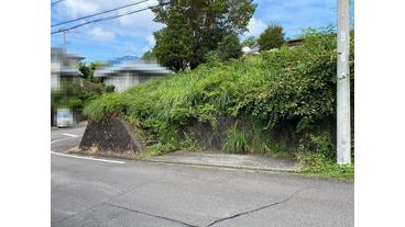 前面道路より敷地全景