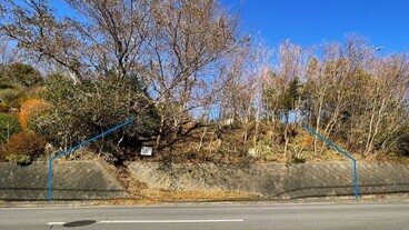 伊豆急荻｜大室山を正面に望む陽当たりの良い高台平坦地