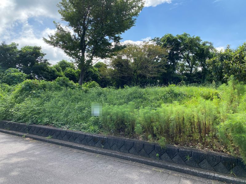 前面道路より敷地全景