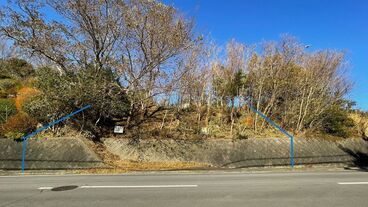 伊豆急荻｜大室山を正面に望む陽当たりの良い高台平坦地